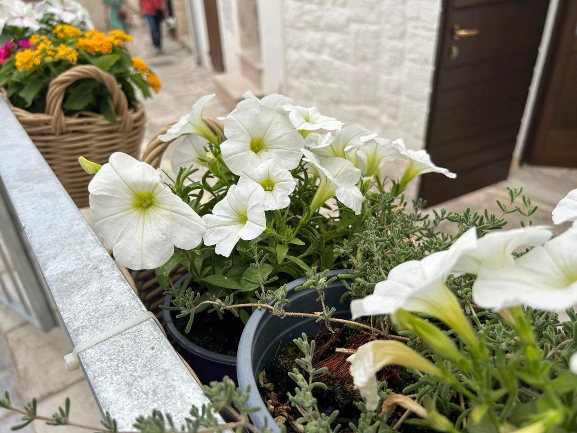 Trame Poesia Di Mare 2 Bed & Breakfast Polignano a Mare Luaran gambar